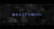 金毛犬几个月要打针