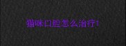 猫咪口腔怎么治疗