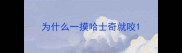 为什么一摸哈士奇就咬