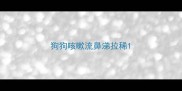 狗狗咳嗽流鼻涕拉稀