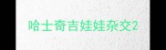 哈士奇吉娃娃杂交