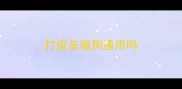 打疫苗猫狗通用吗