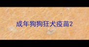 成年狗狗狂犬疫苗