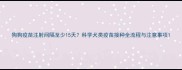 狗狗疫苗注射间隔至少15天科学犬类疫苗接种全流程与注意事项