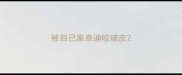 被自己家泰迪咬破皮