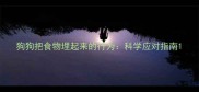 狗狗把食物埋起来的行为科学应对指南