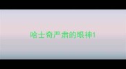 哈士奇严肃的眼神