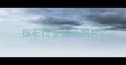 拉布拉多卖萌照片