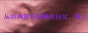 哈士奇毛色全从经典银灰到稀有白化最上镜的颜值担当