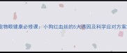 宠物眼健康必修课小狗红血丝的5大诱因及科学应对方案
