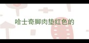 哈士奇脚肉垫红色的