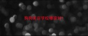 狗狗美容学校哪家好