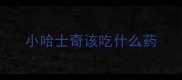 小哈士奇该吃什么药