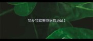 我爱我家宠物医院地址