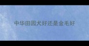 中华田园犬好还是金毛好