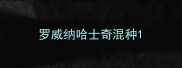 罗威纳哈士奇混种