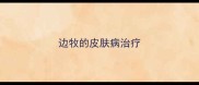 边牧的皮肤病治疗