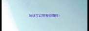 地铁可以带宠物猫吗