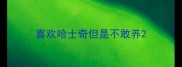 喜欢哈士奇但是不敢养