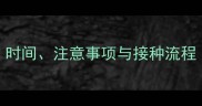 狗狗第二针疫苗全时间注意事项与接种流程附免疫程序图解
