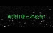 狗狗打哪三种疫苗