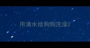 用清水给狗狗洗澡