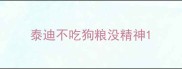 泰迪不吃狗粮没精神