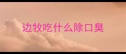 边牧吃什么除口臭