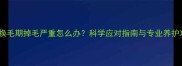 边牧换毛期掉毛严重怎么办科学应对指南与专业养护攻略