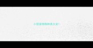 小型宠物狗种类大全