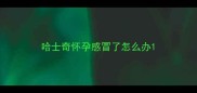 哈士奇怀孕感冒了怎么办