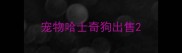 宠物哈士奇狗出售