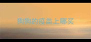 狗狗的疫苗上哪买