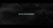 拉布拉多耳朵根部烂