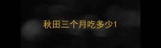 秋田三个月吃多少