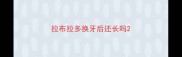 拉布拉多换牙后还长吗