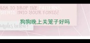 狗狗晚上关笼子好吗