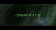 公泰迪和母泰迪外貌