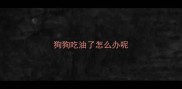 狗狗吃油了怎么办呢