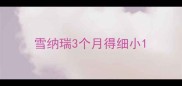 雪纳瑞3个月得细小