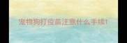 宠物狗打疫苗注意什么手续