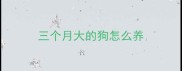 三个月大的狗怎么养