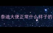 泰迪大便正常什么样子的