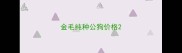 金毛纯种公狗价格