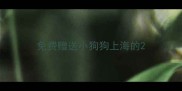 免费赠送小狗狗上海的
