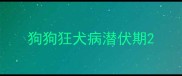 狗狗狂犬病潜伏期