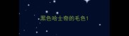 黑色哈士奇的毛色