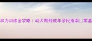 拉布拉多亲和力训练全攻略幼犬期到成年亲民指南零基础家长必看