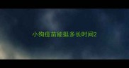 小狗疫苗能挺多长时间