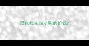 黑色拉布拉多狗的价钱